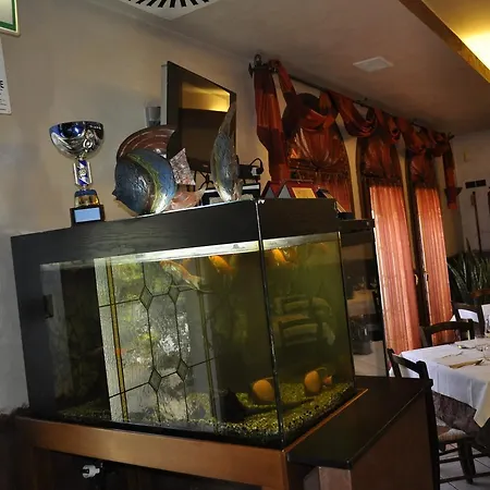 Tappa Fissa * Vigonovo (Veneto)
